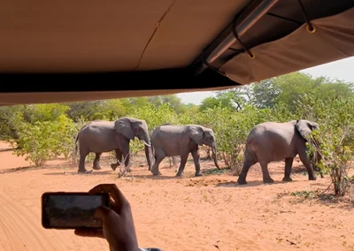 3 Night Kruger Experience Tour