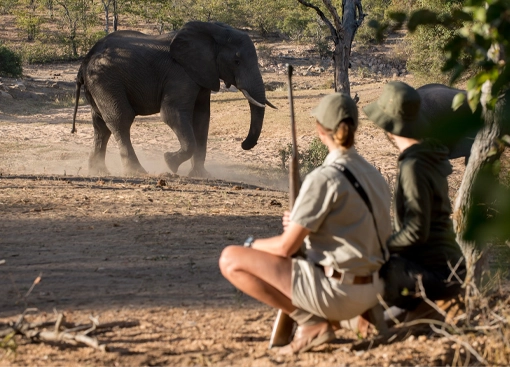 Explore safari tour img